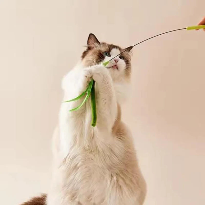 Canne interactive pour chats