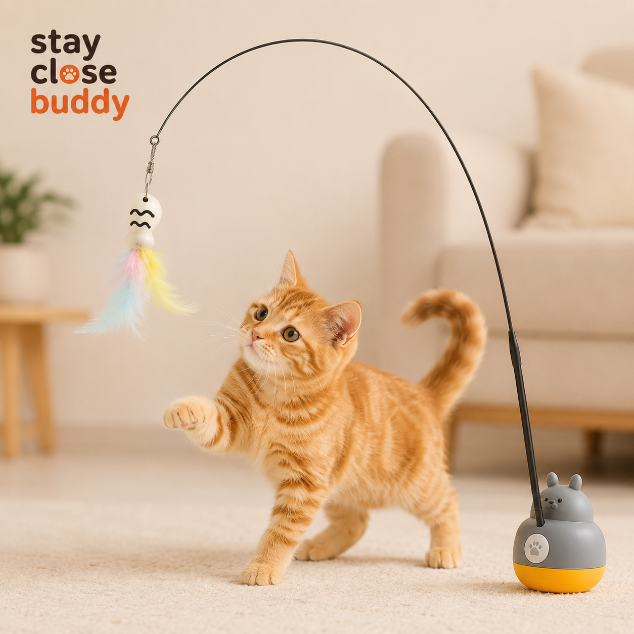 Cannes à plumes pour chats