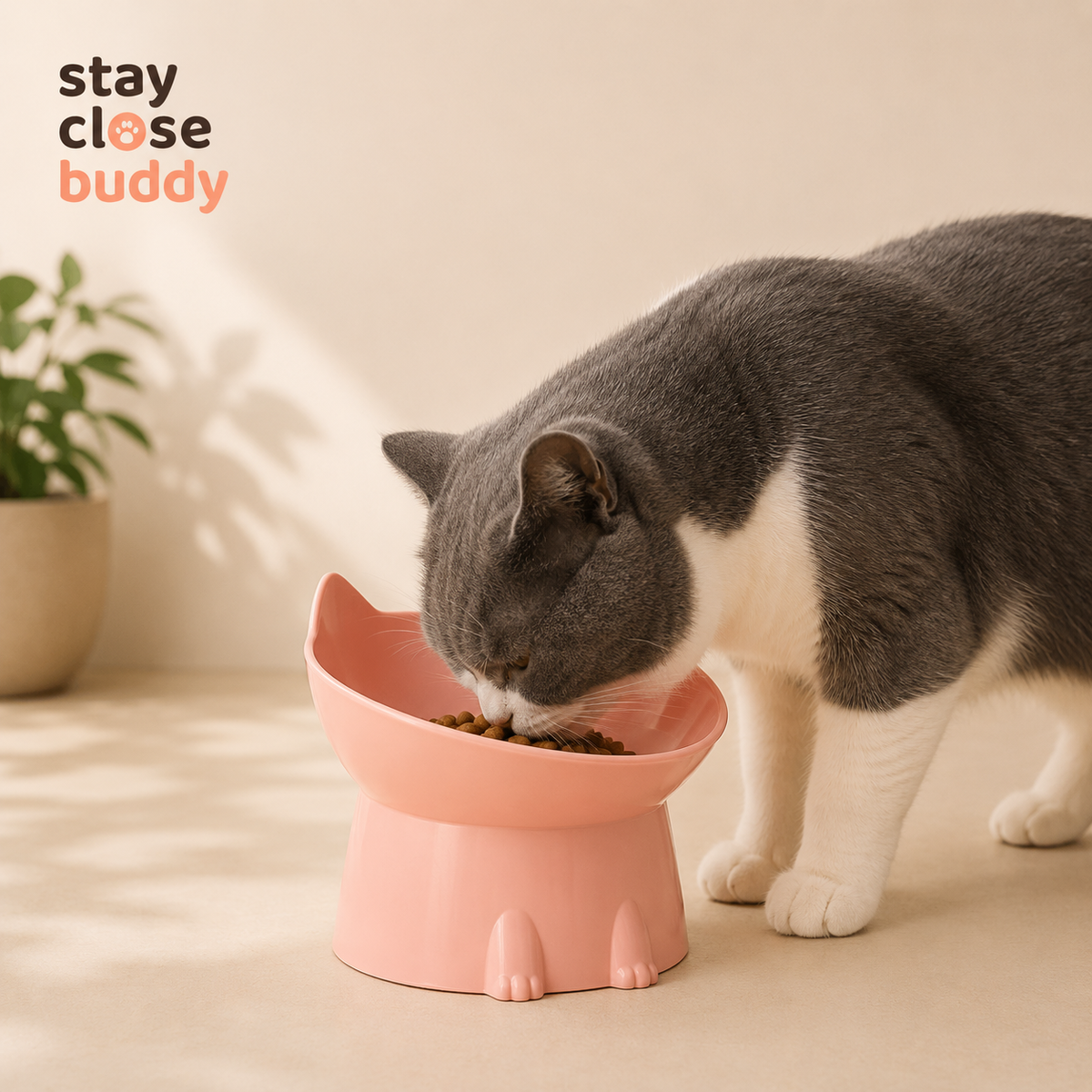 Gamelle surélevée pour chats et chiens