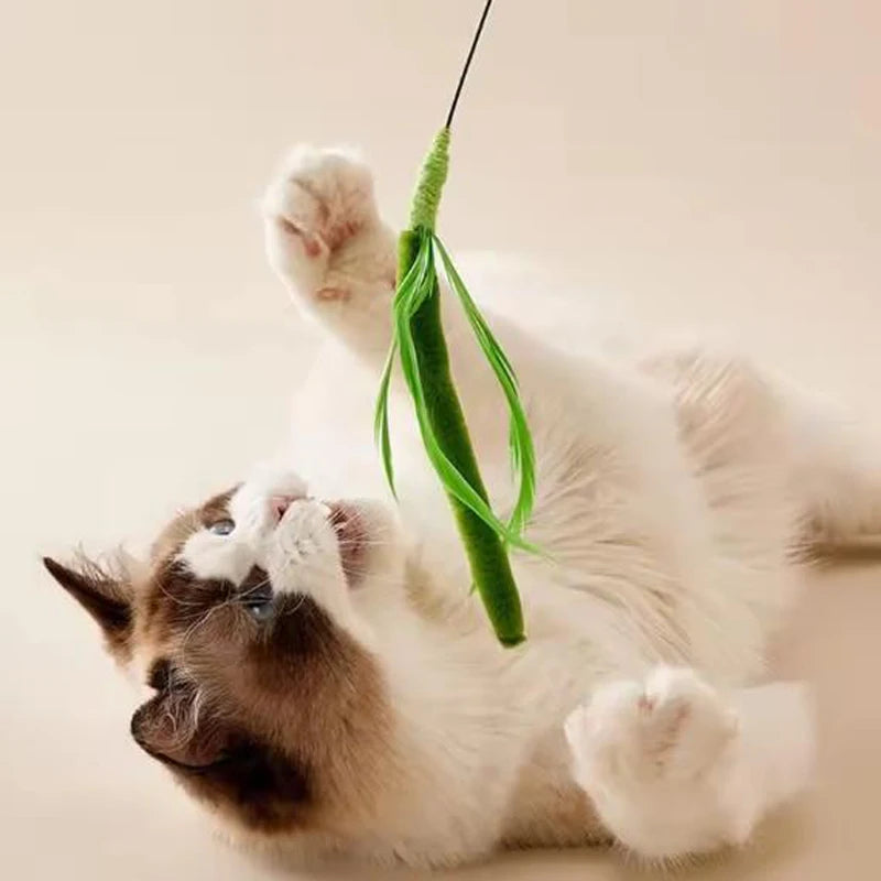 Canne interactive pour chats