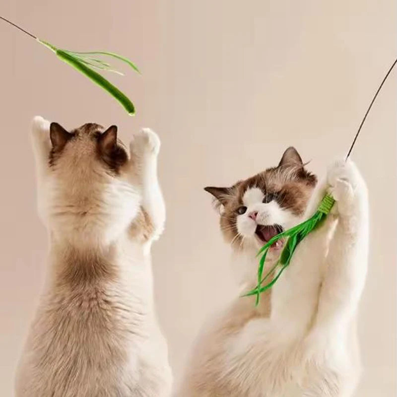 Canne interactive pour chats